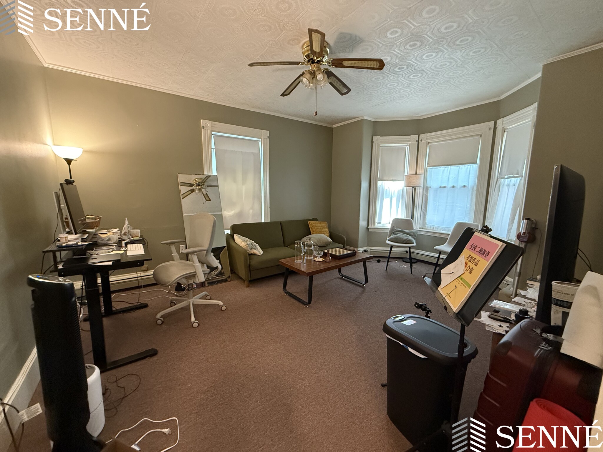 392 Windsor St, Wellington-Harrington