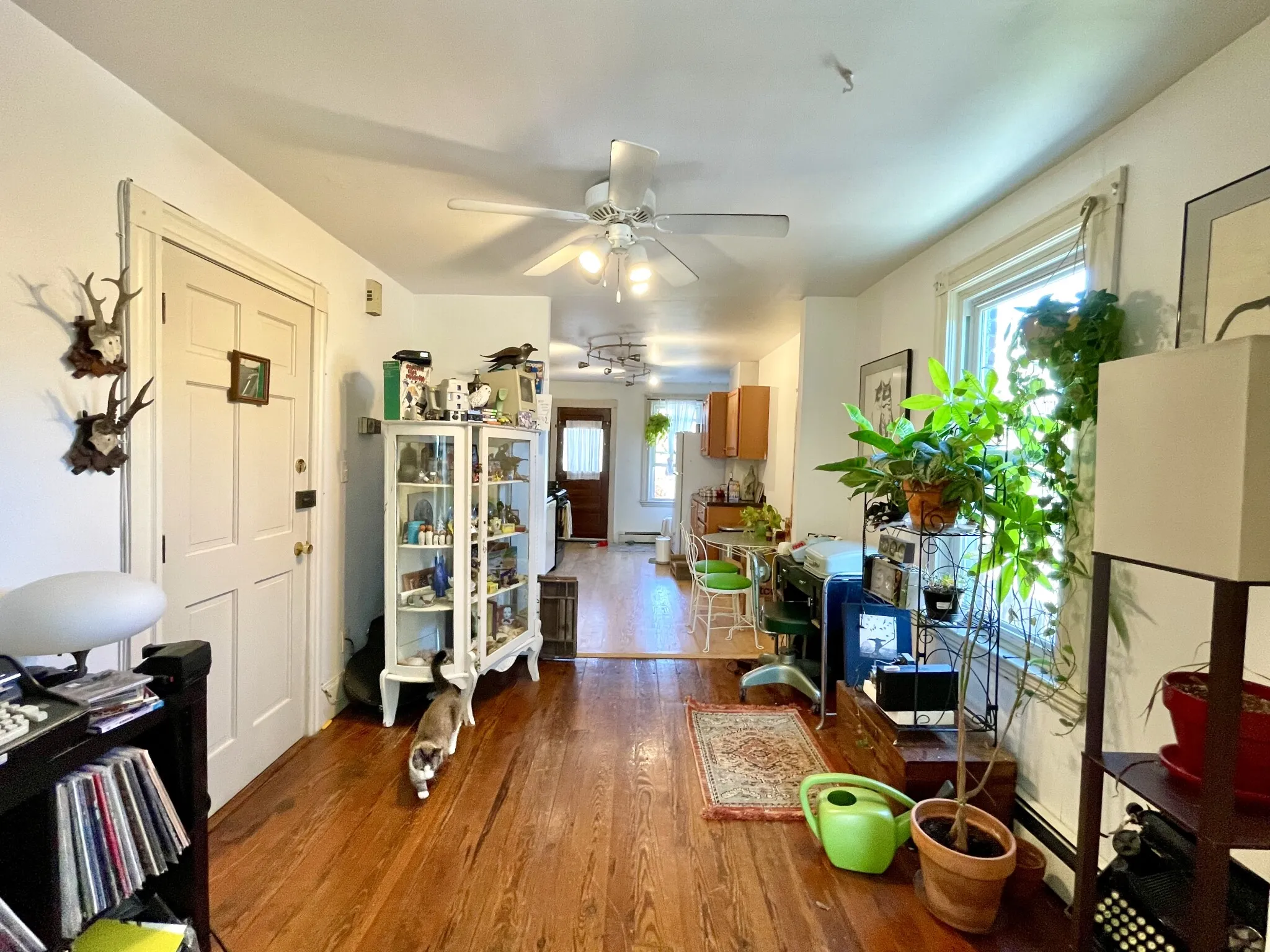 24 Mead St, Allston