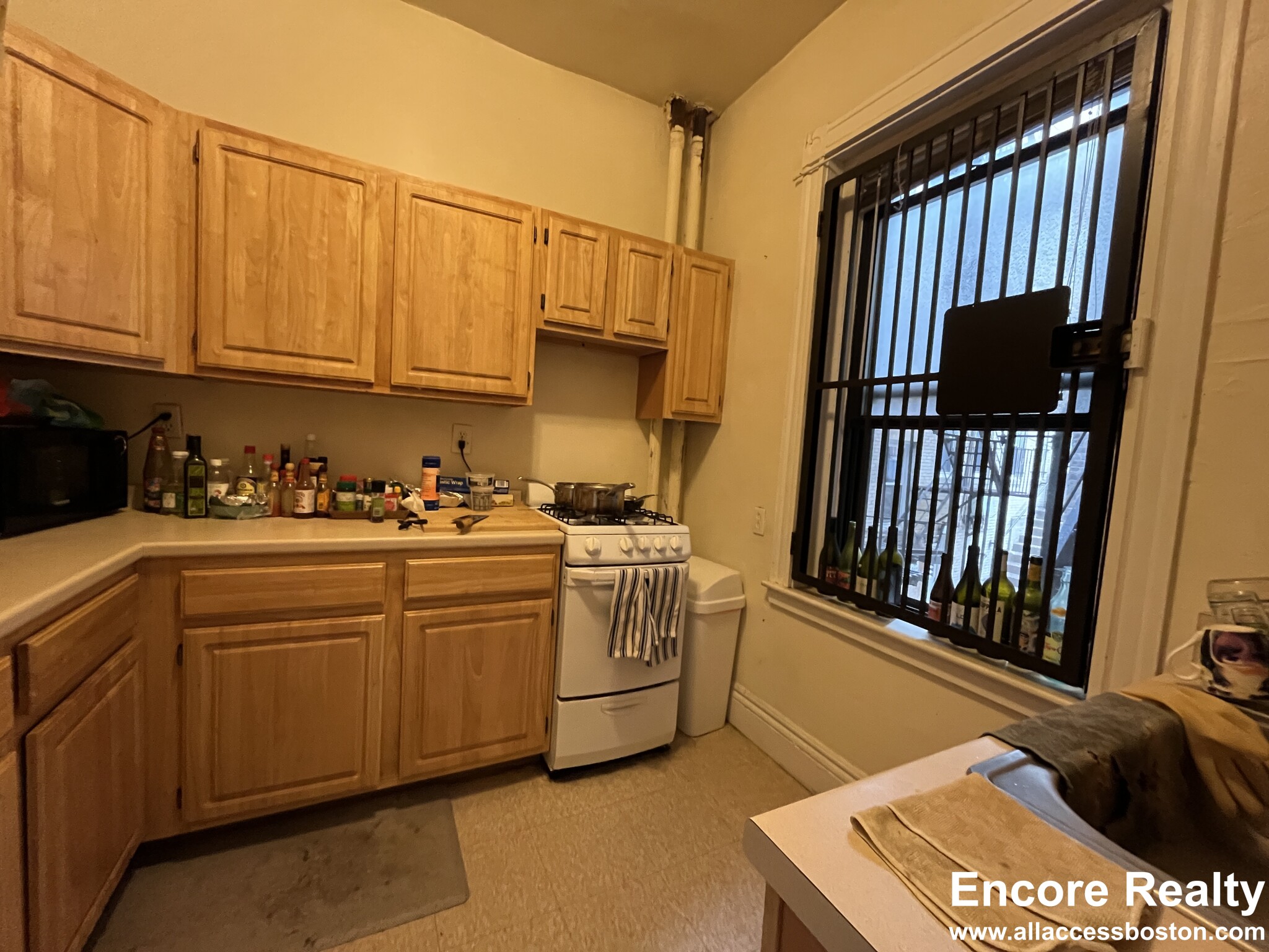 376 Riverway, Mission Hill