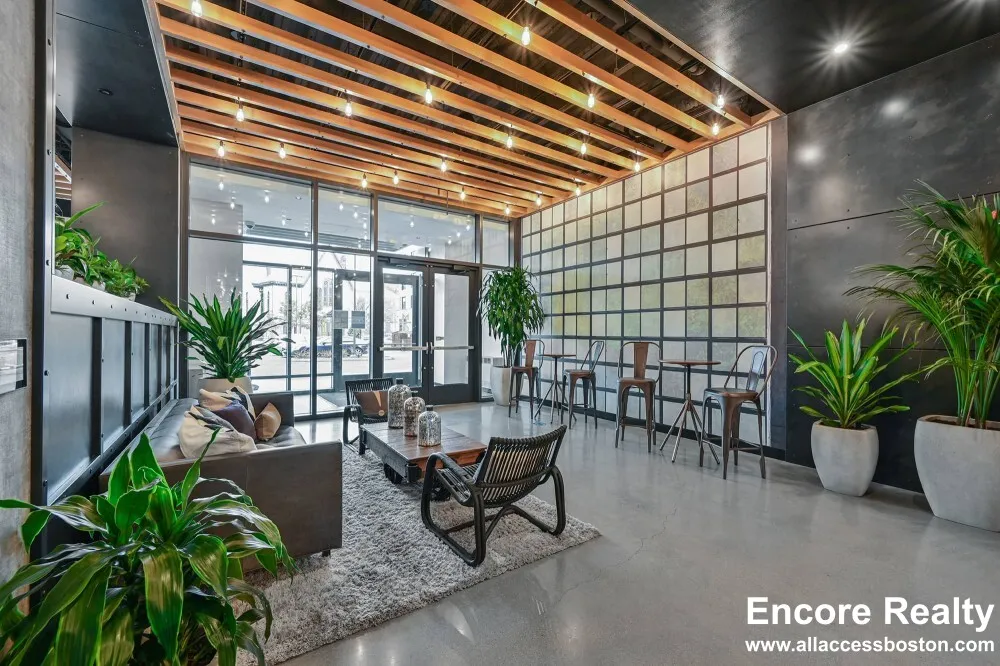 425 Massachusetts Ave, Central Square