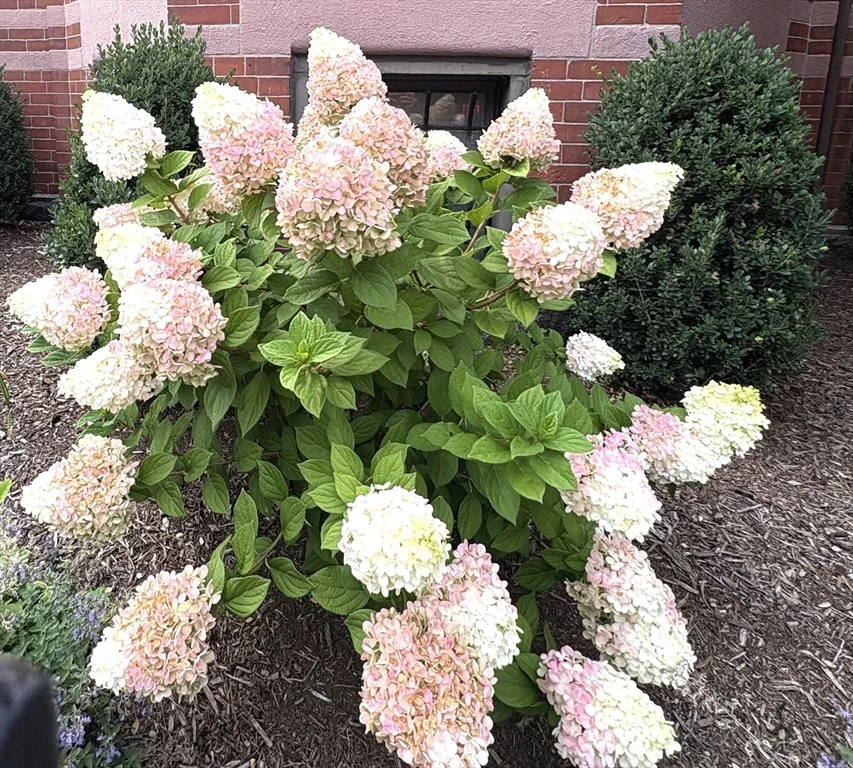 12 Cumberland St, Back Bay