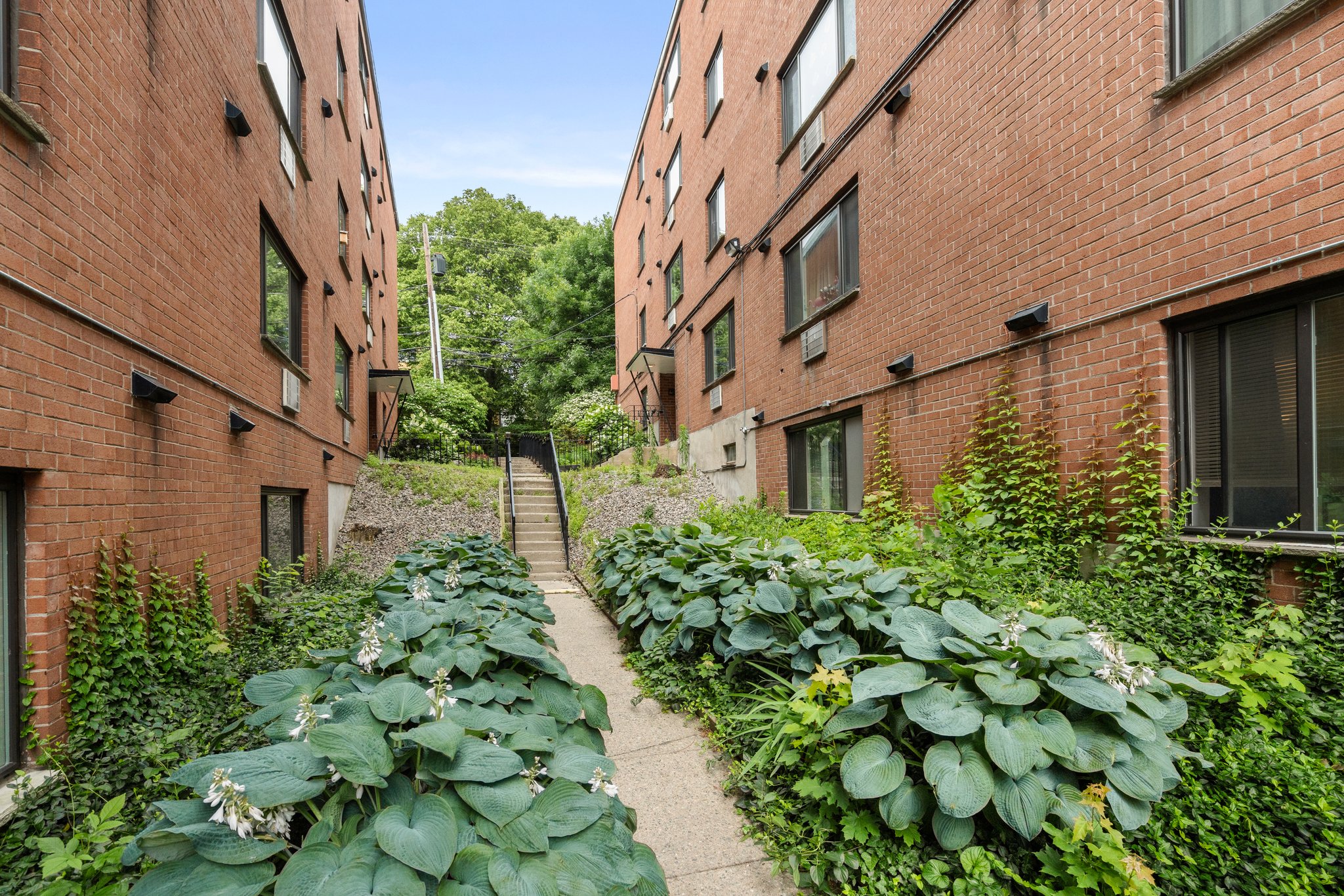 205 Kent St, Brookline