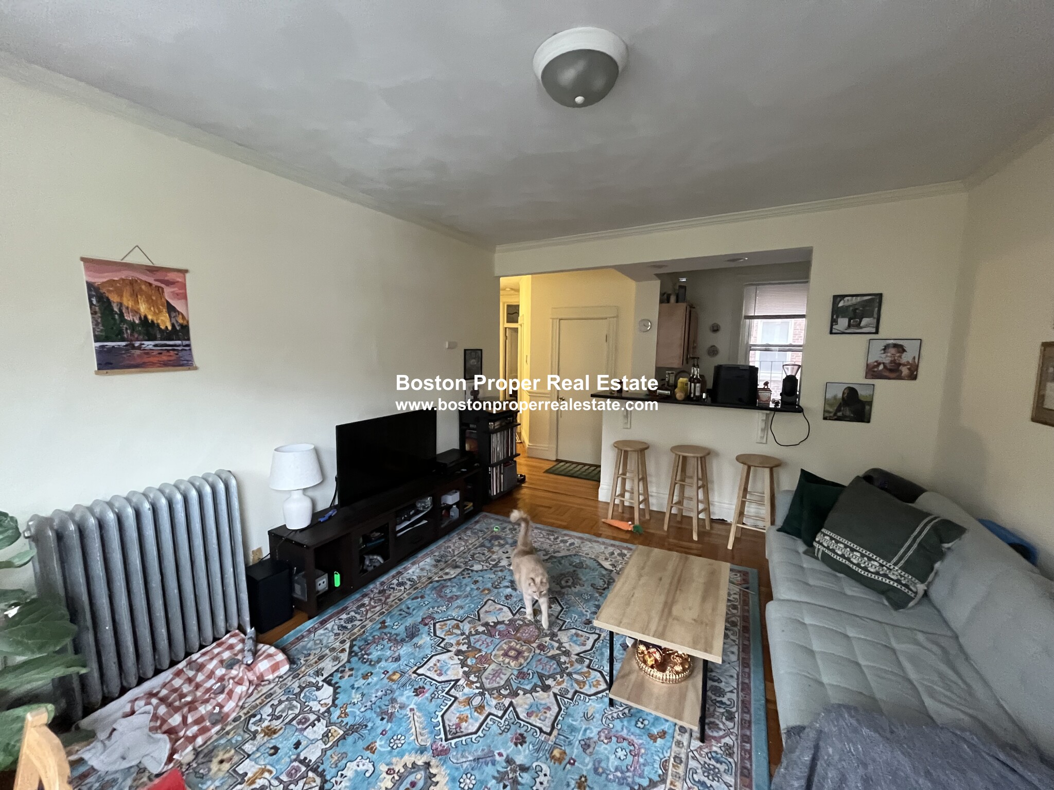 36 Queensberry St, Fenway