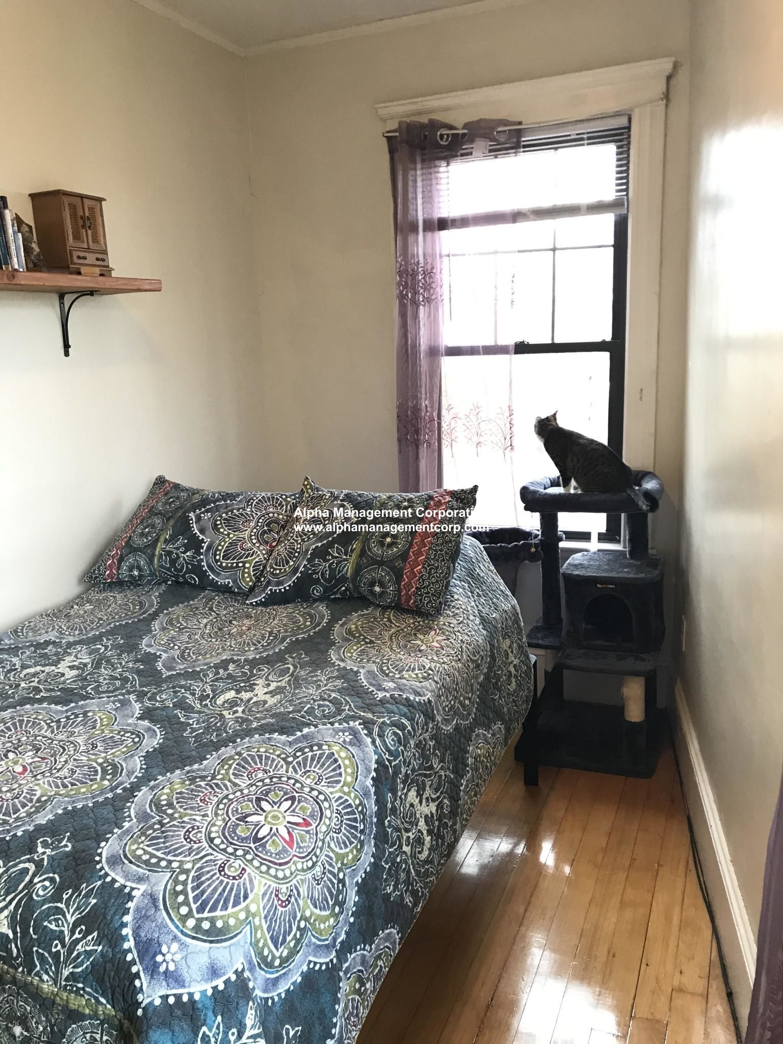 45 Gordon St, Brighton