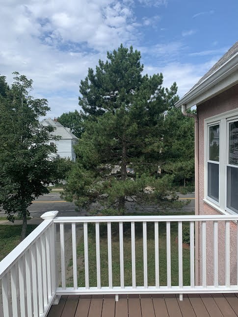 206 Lexington St, Waverley