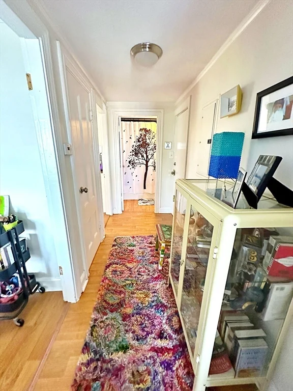 242 Princeton St, East Boston