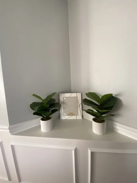 46 Tulip Cir, Grafton