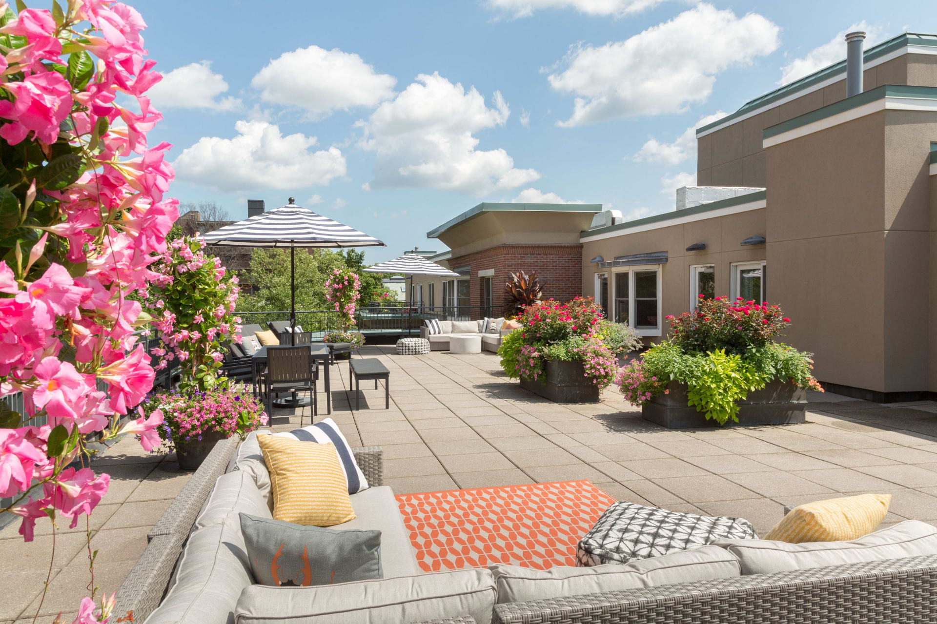 77 Marion St, Coolidge Corner