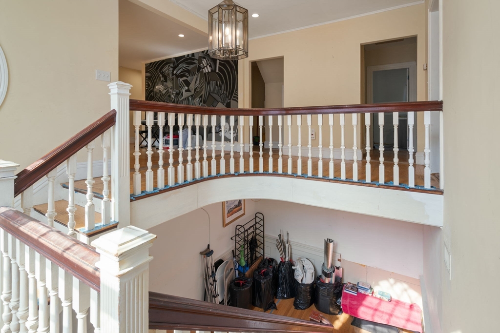 11 Elko St, Brighton