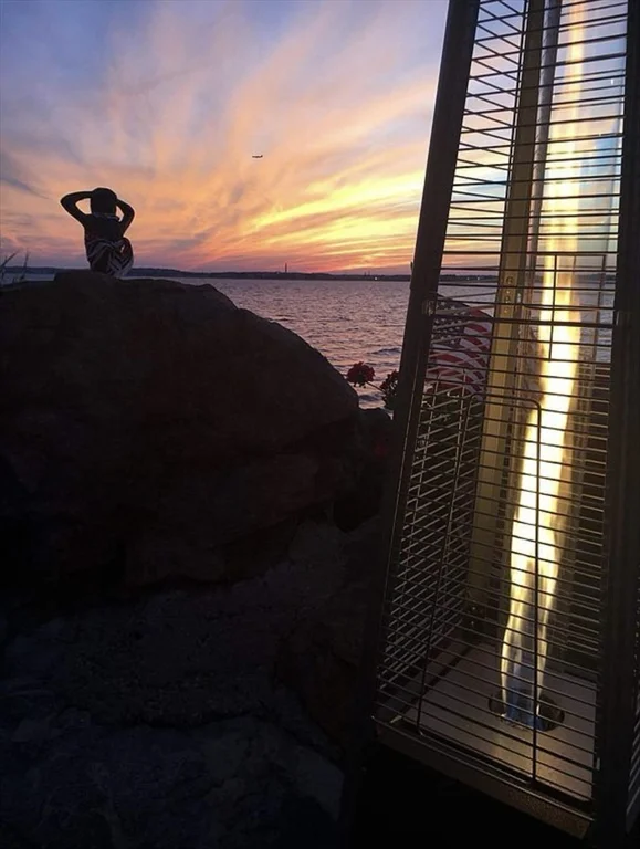 39 Castle Rd, Nahant