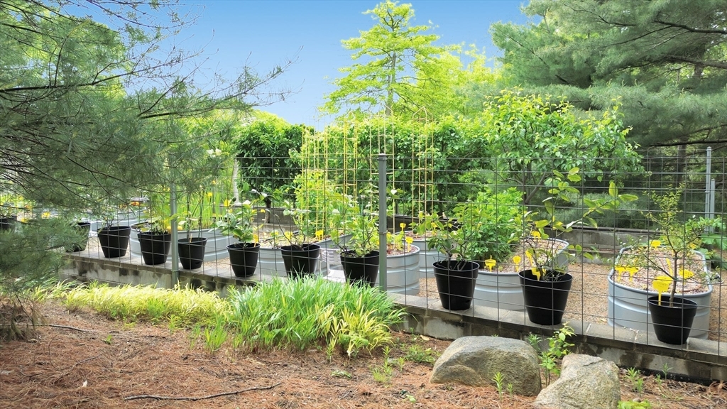 17 Bourne Point Rd, Wareham