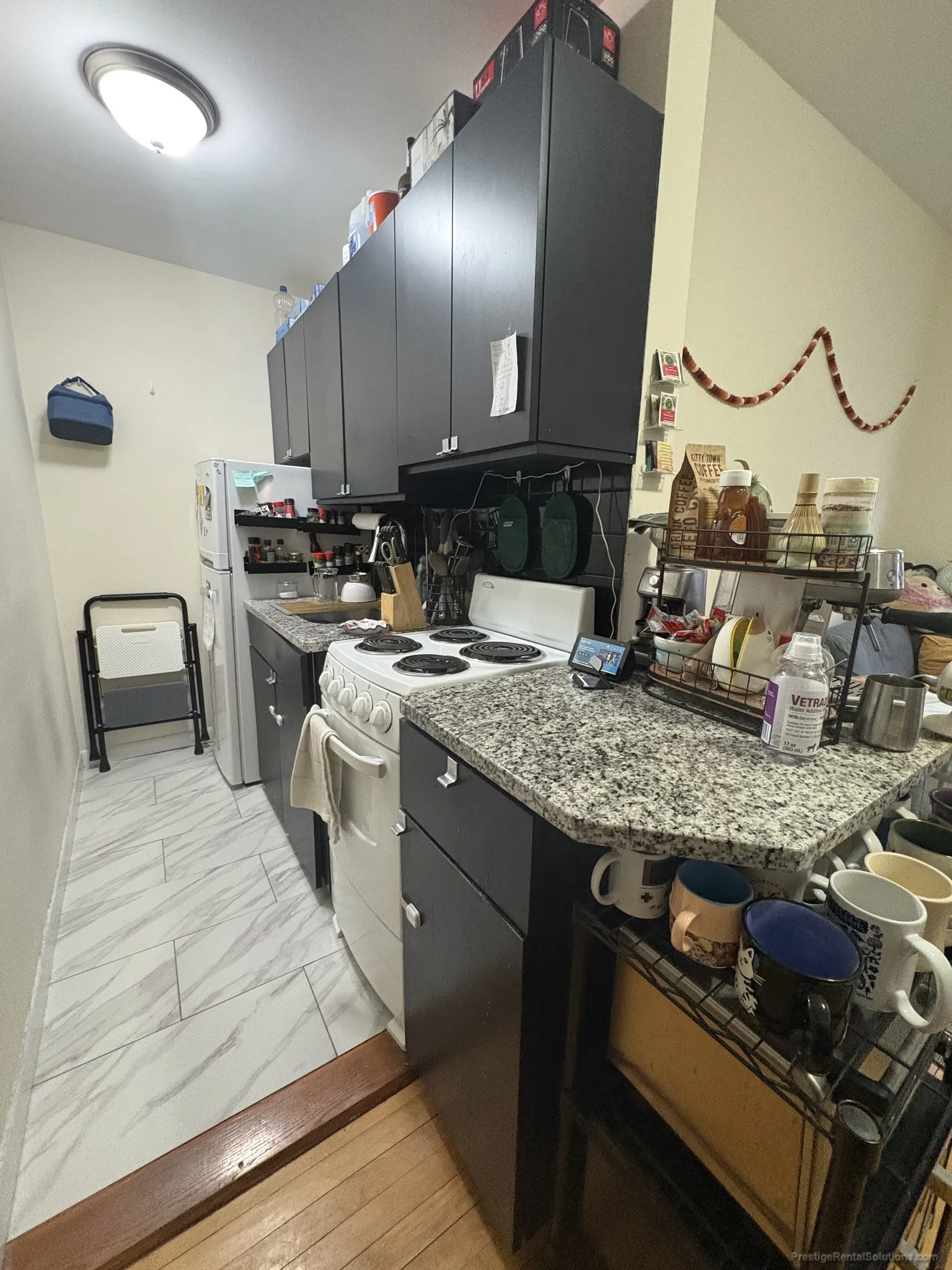 64 Brighton Ave, Brighton