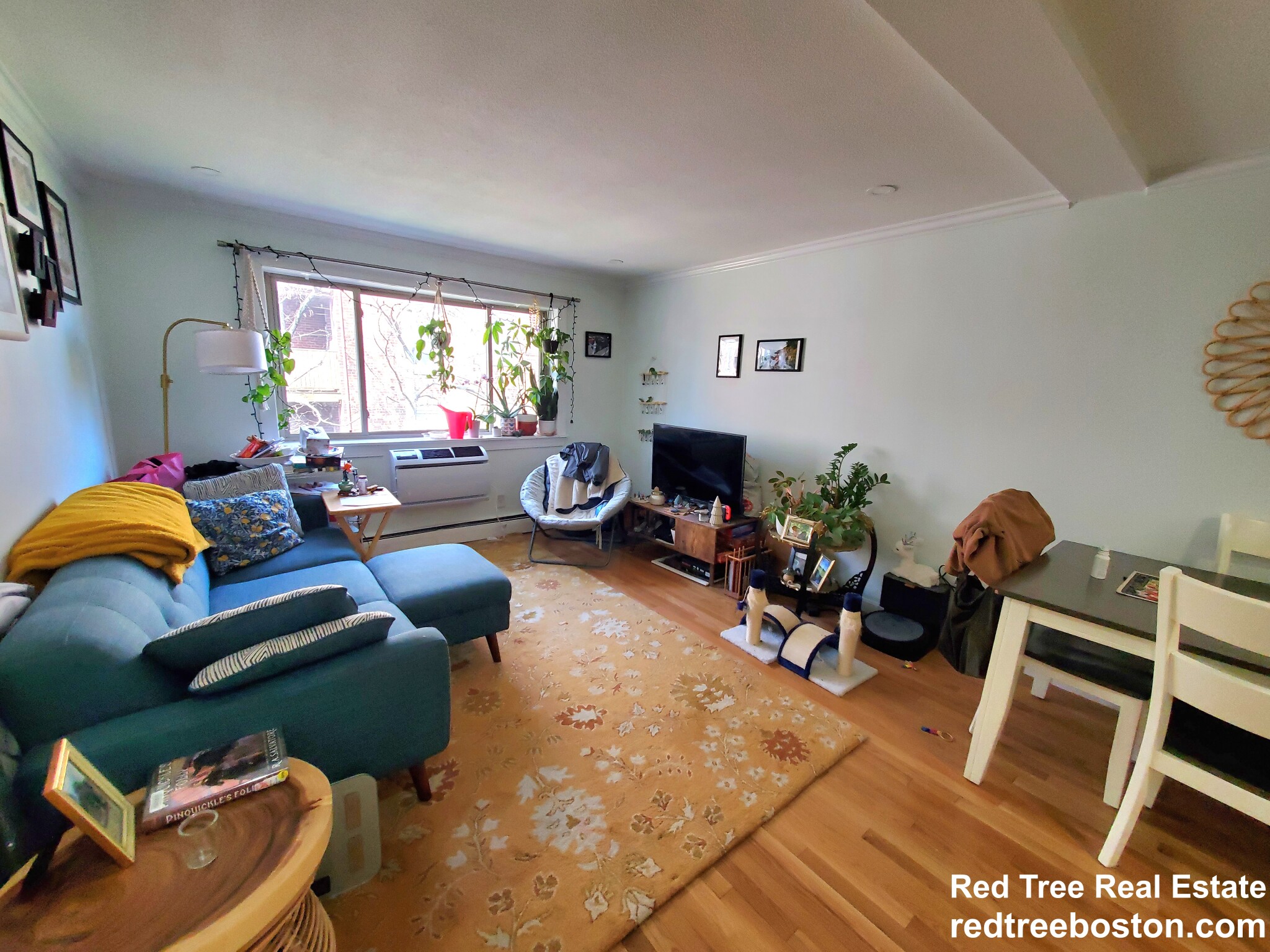 329 Harvard St, Mid-Cambridge