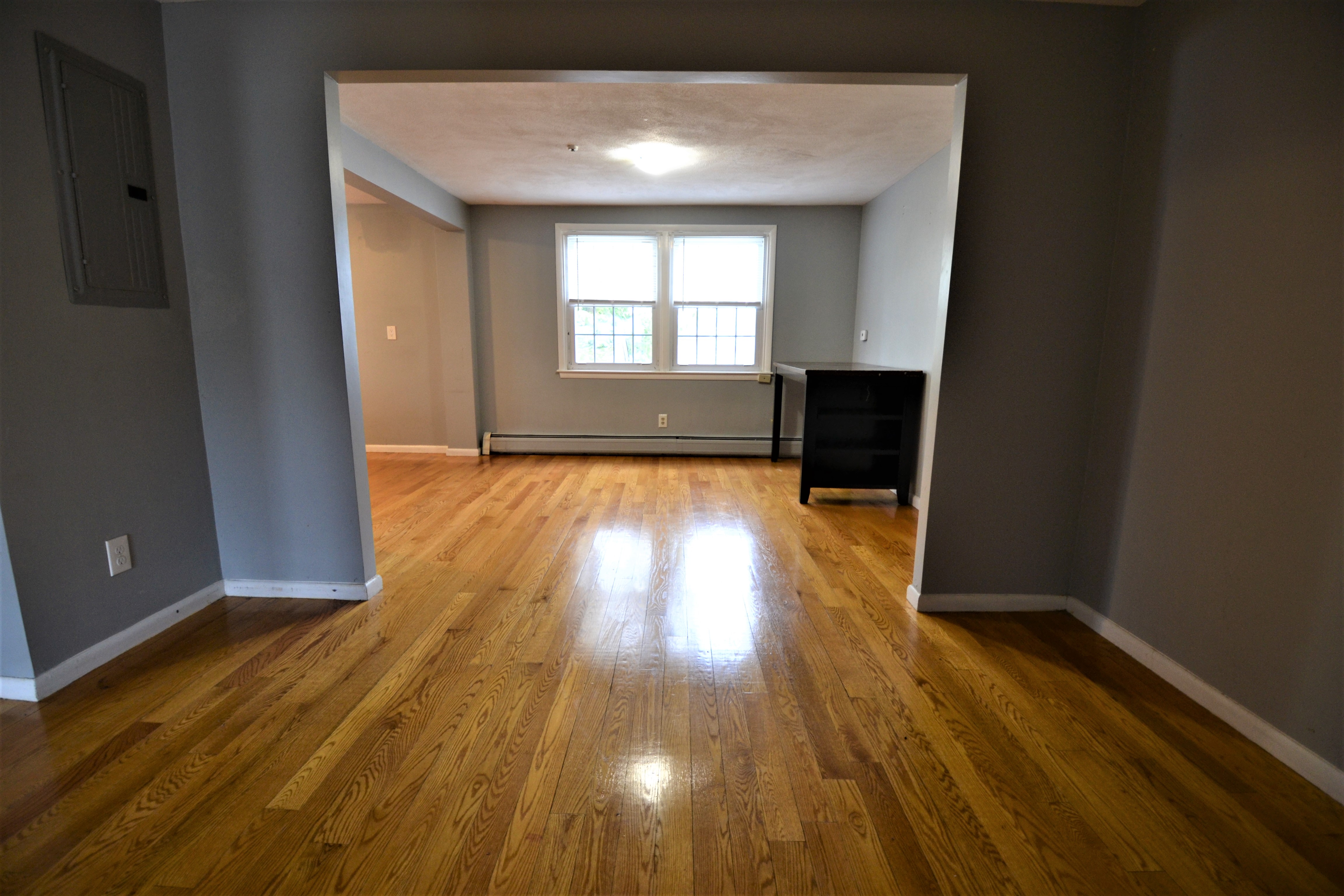 2 bed, 1 bath apartment for rent at 8 Andria Rd Unit 1, Hyde Park — photo 15 of 15