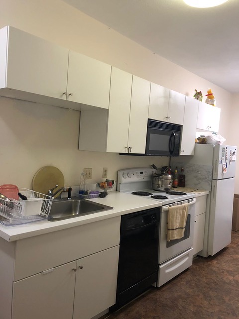 1 bed, 1 bath apartment for rent at 4 Ransom Rd Unit 9, Brighton — photo 3 of 5