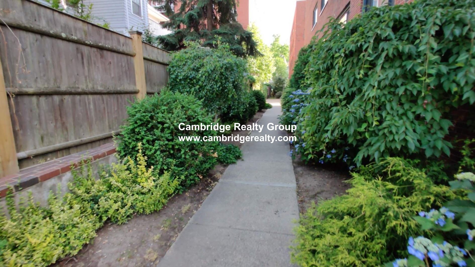 1 bed, 1 bath apartment for rent at 375 Harvard St Unit 3A, Harvard Square — photo 8 of 10