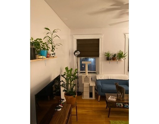 1 bed, 1 bath apartment for rent at 31 Queensberry St Unit 8, Fenway — photo 3 of 4