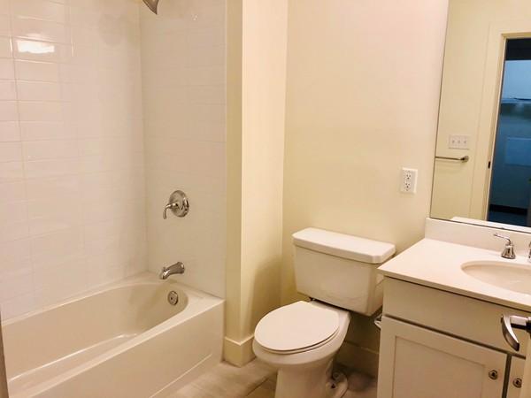 2 bed, 2 bath apartment for rent at 20 Penniman Rd Unit 402, Allston — photo 4 of 30