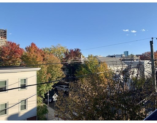 1 bed, 1 bath apartment for rent at 121 Thorndike St Unit 3R, East Cambridge — photo 14 of 18