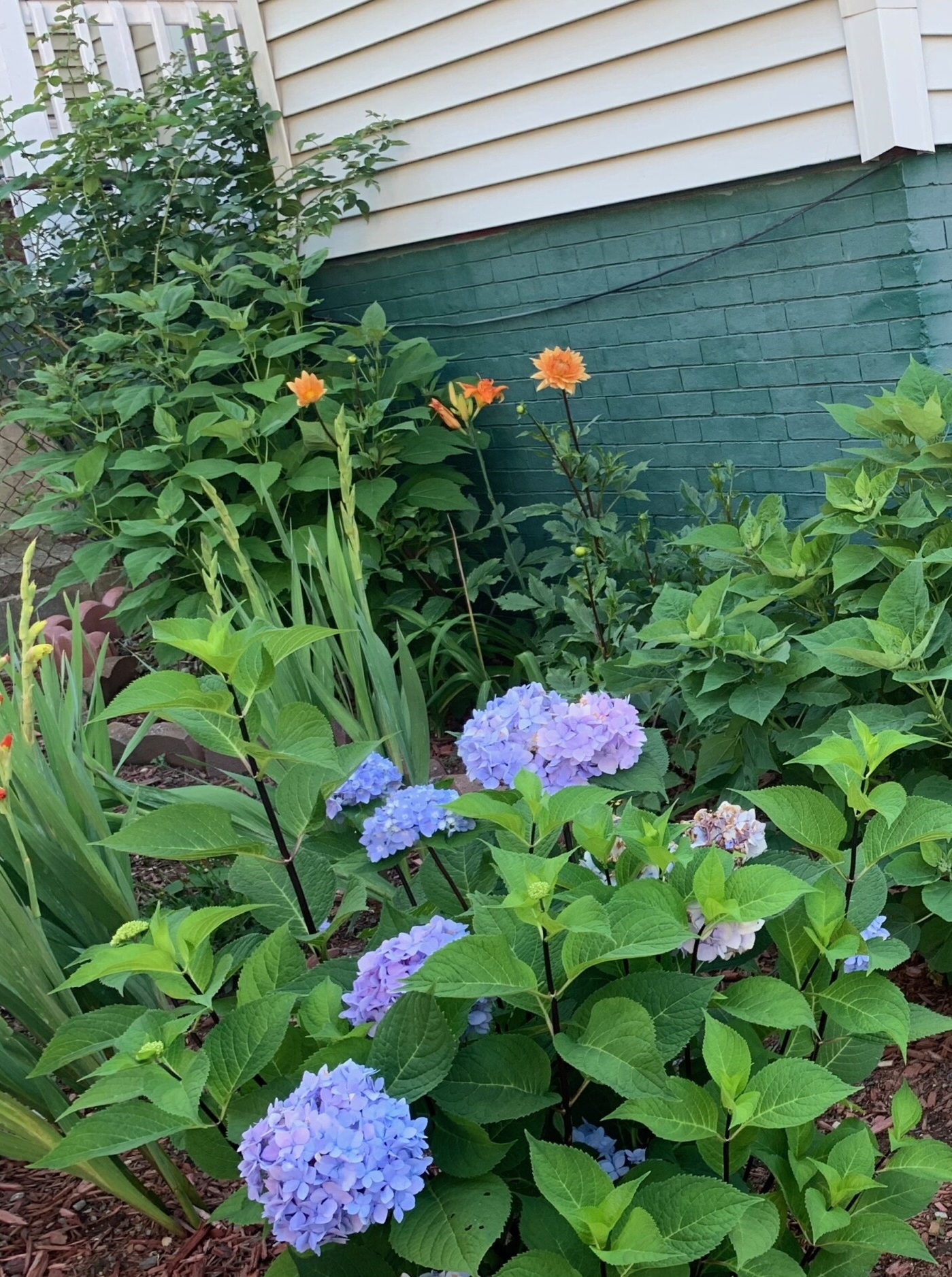 27 Pinckney St, East Somerville