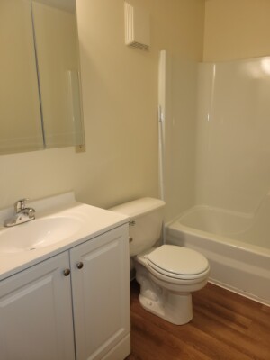 3 bed, 2.5 bath apartment for rent at 54 Hamlet St Unit 1, Thompsonville — photo 21 of 23
