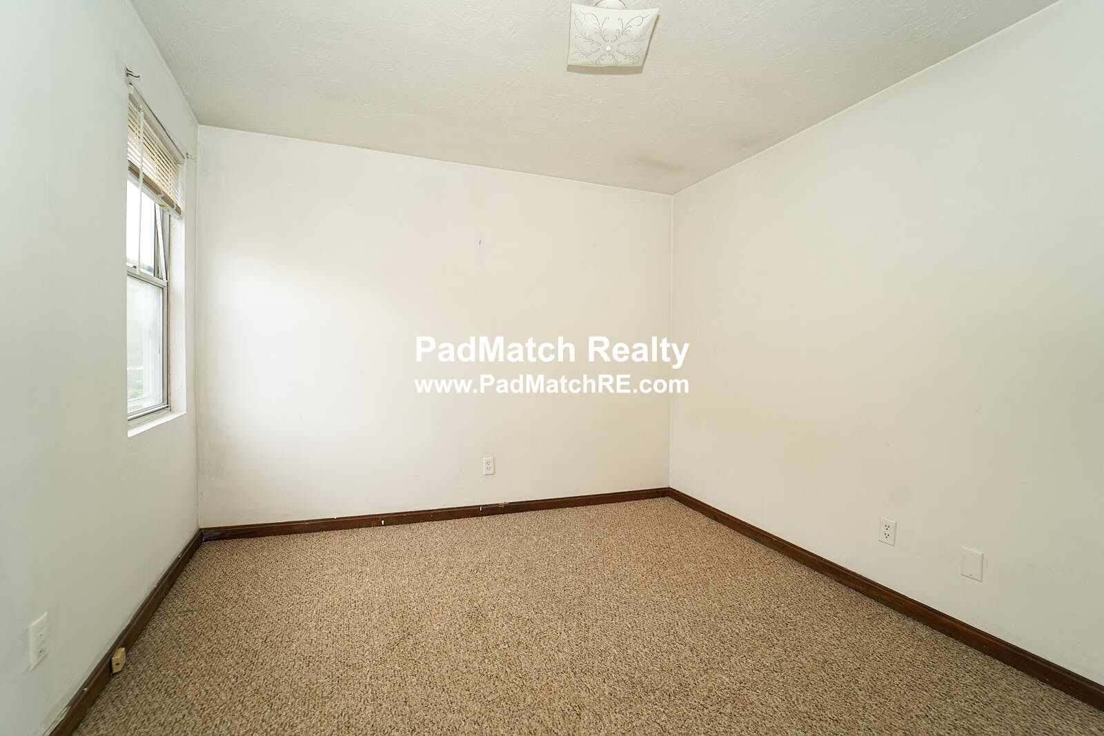 6 Shepard St, Brighton