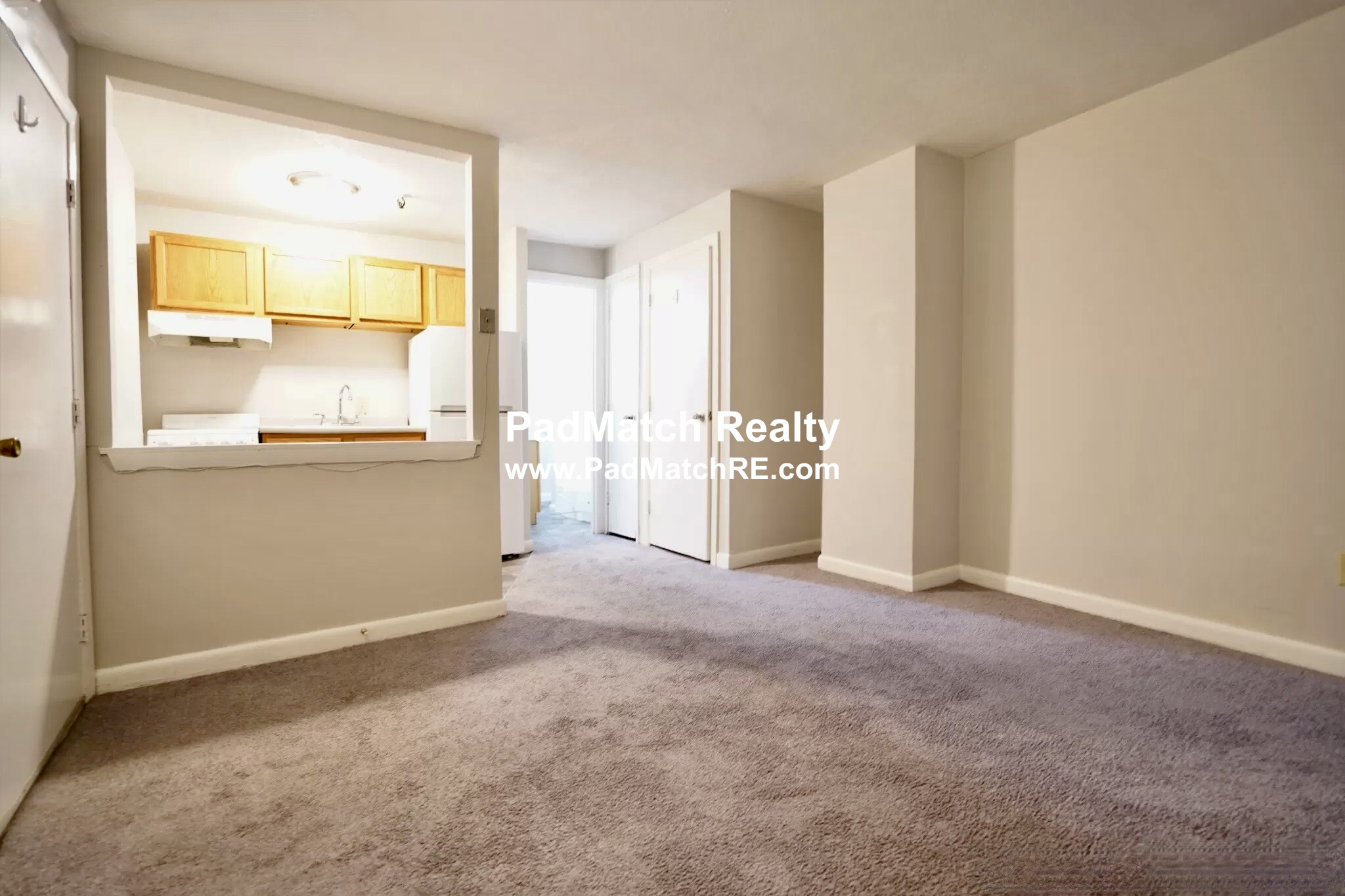 231 Harrison Ave, Chinatown