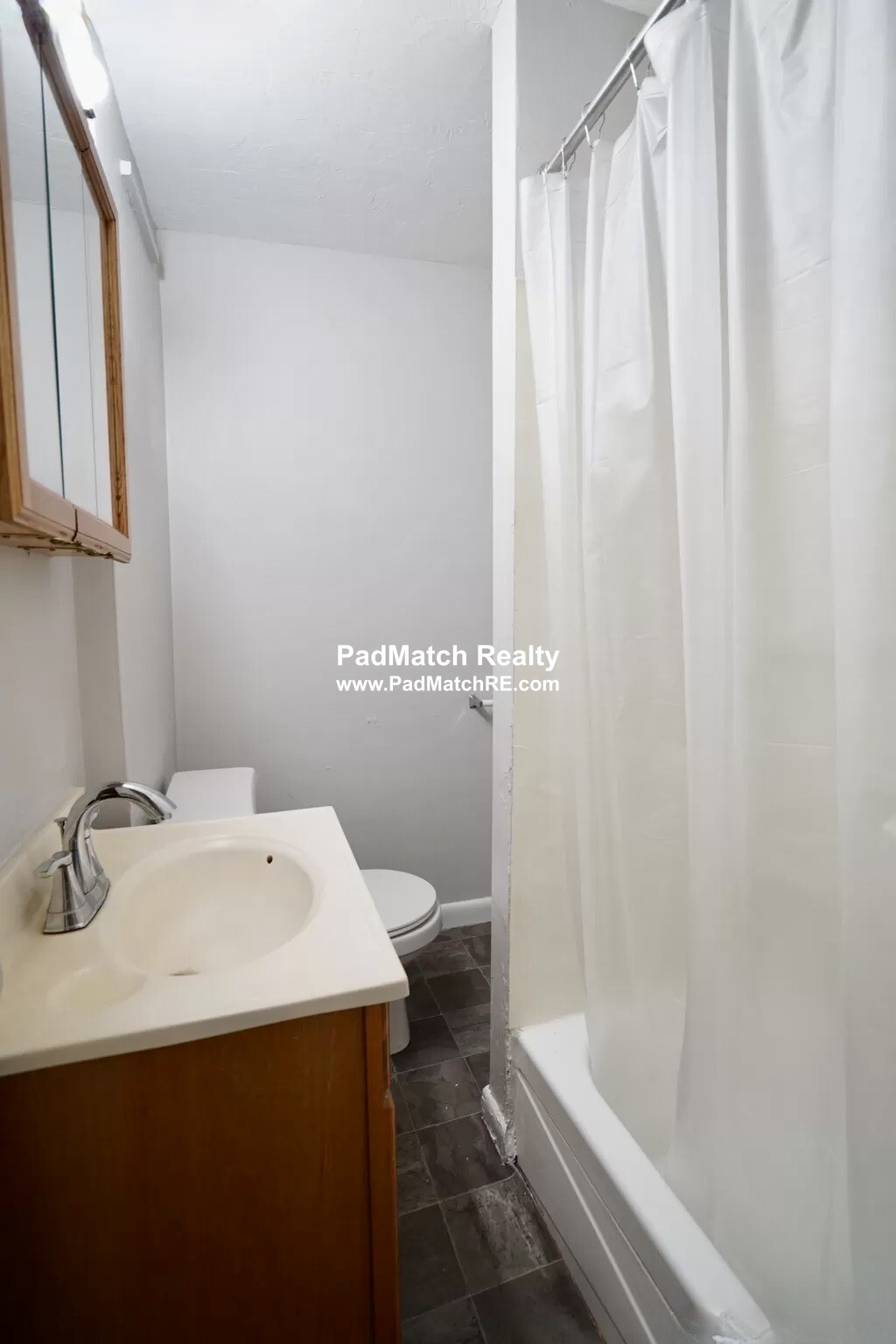 231 Harrison Ave, Chinatown