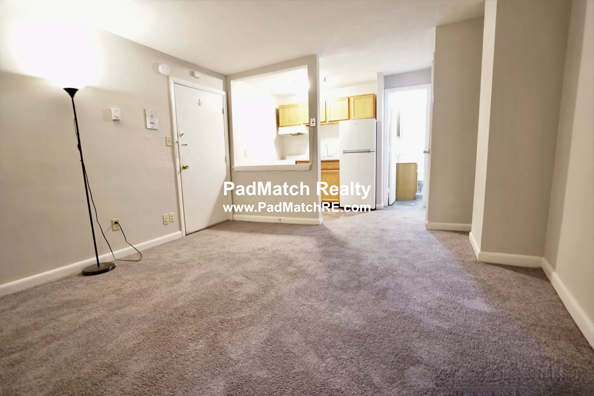 231 Harrison Ave, Chinatown