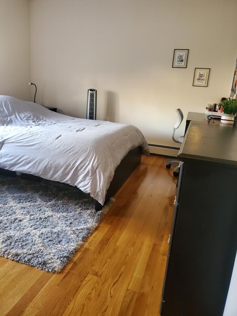 1 bed, 1 bath apartment for rent at 109 111 Tremont Unit 612, Brighton — photo 10 of 10