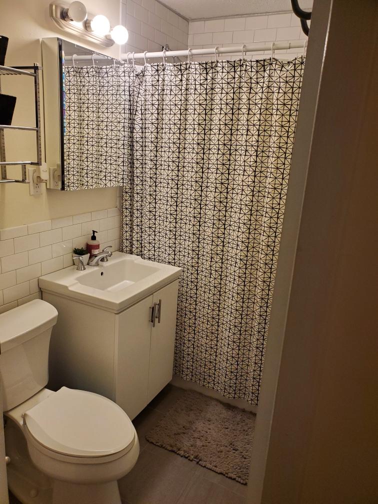 1 bed, 1 bath apartment for rent at 109 111 Tremont Unit 612, Brighton — photo 5 of 10
