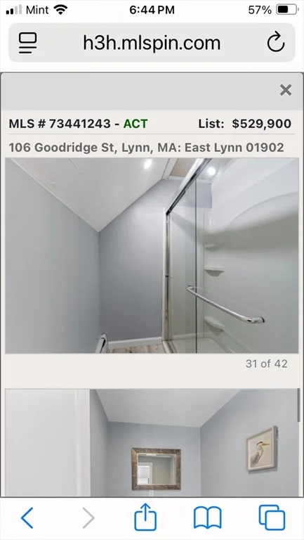 106 Goodridge St, East Lynn