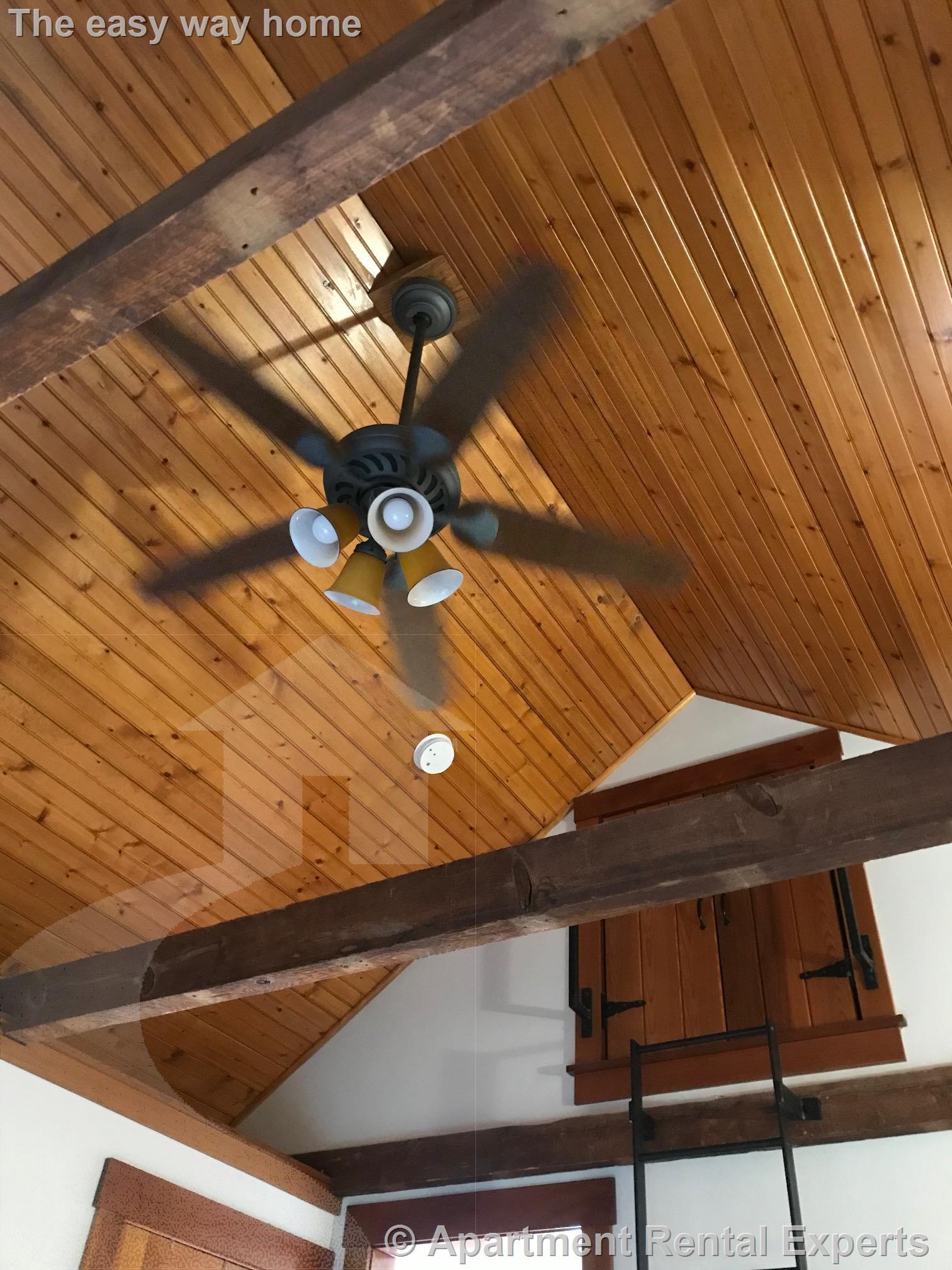 127 Amory St, Inman Square