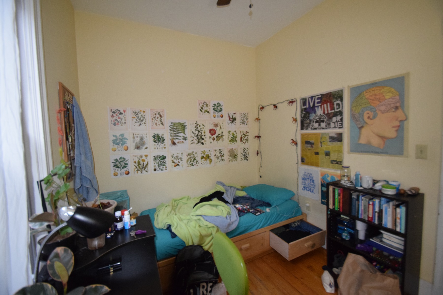 36 Cherokee St, Mission Hill