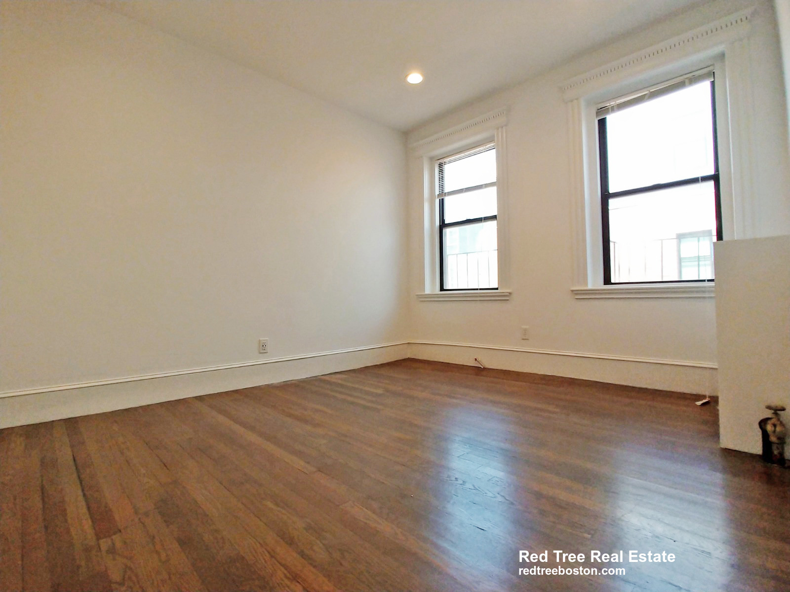 19 Peterborough St, Fenway