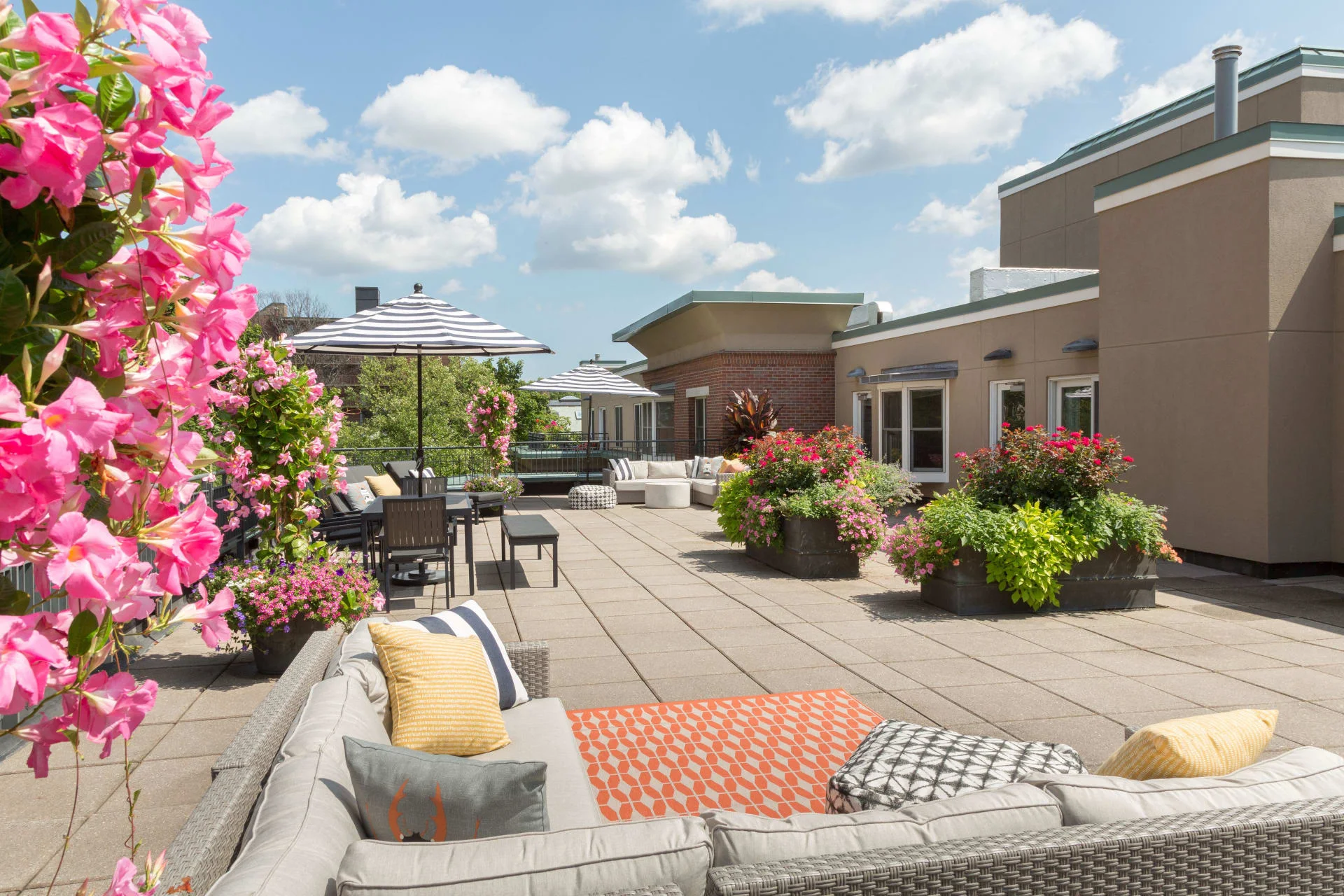 77 Marion St, Coolidge Corner