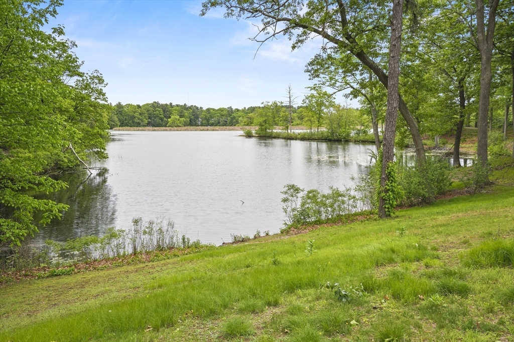 55 Angleside Rd, Waltham