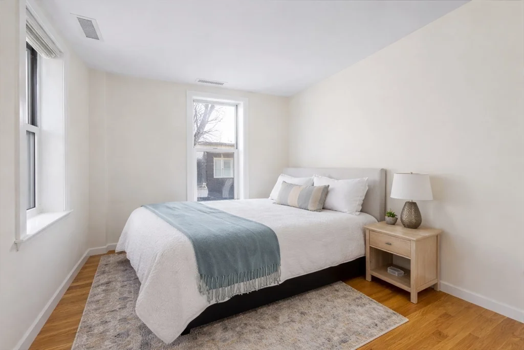 20 Chestnut, Cambridgeport