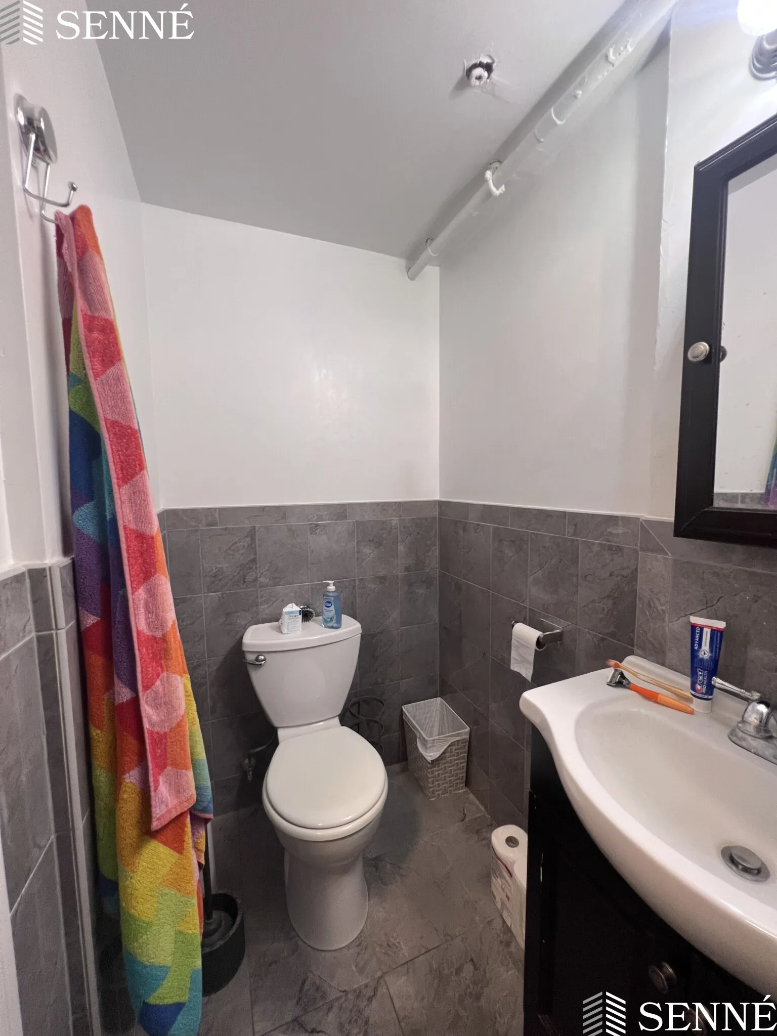 3 Linnaean St, Neighborhood Nine