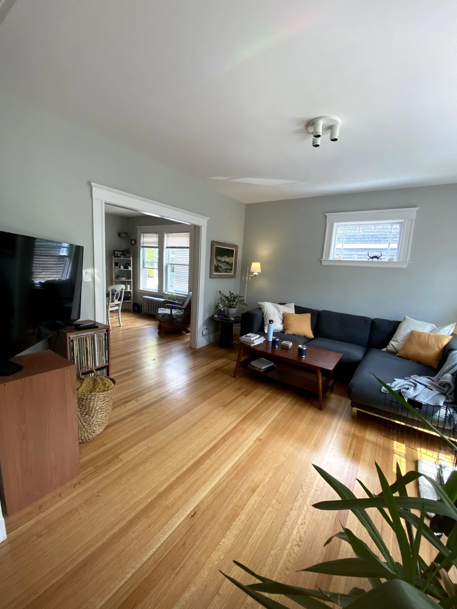 11-15 Stedman St, Jamaica Plain