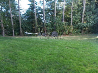 2 bed, 2.5 bath apartment for rent at 21 Rustic St Unit 1, Nonantum — photo 24 of 38