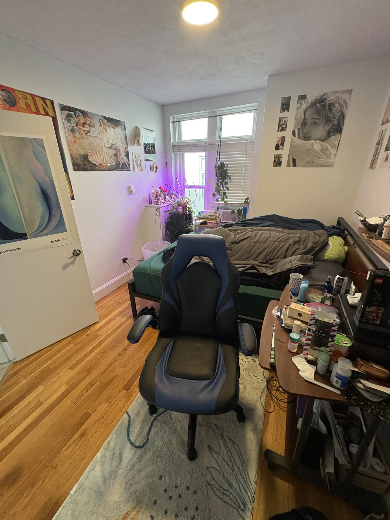 45 Westland Ave, Fenway