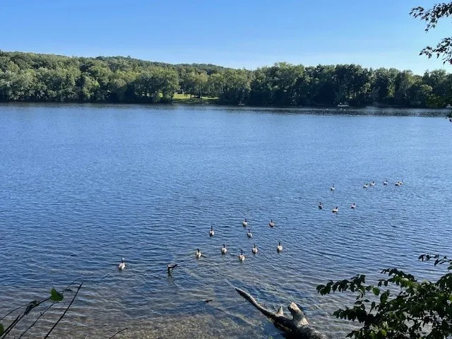 86 Margin St, Haverhill