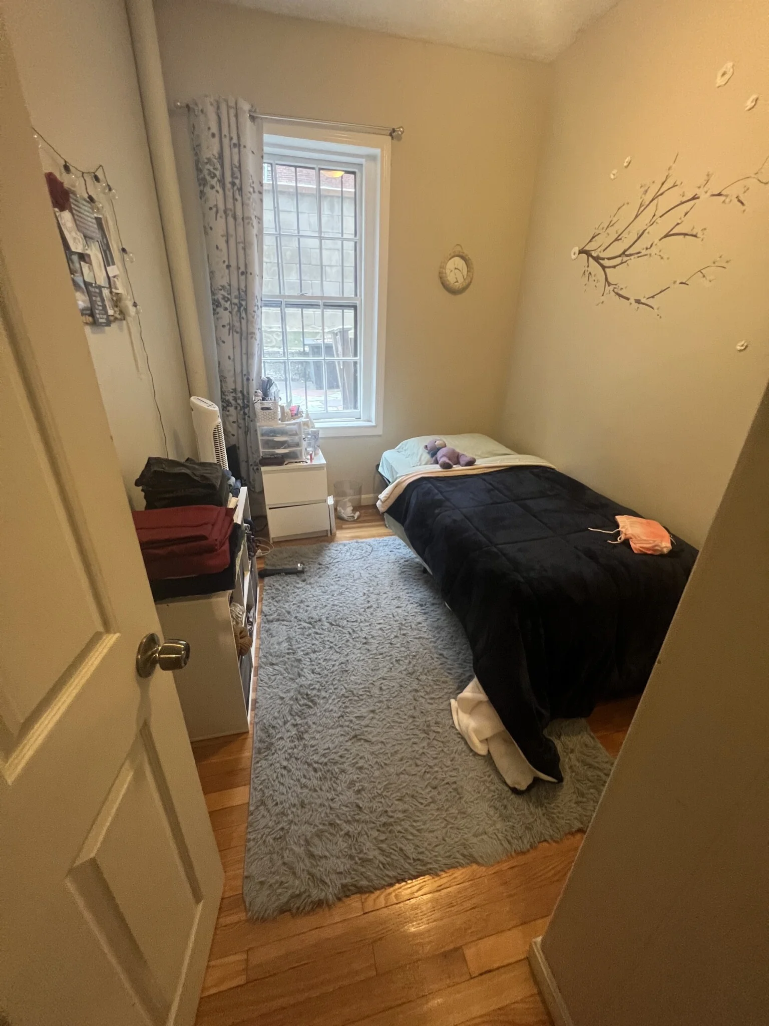 76 Phillips St, Beacon Hill