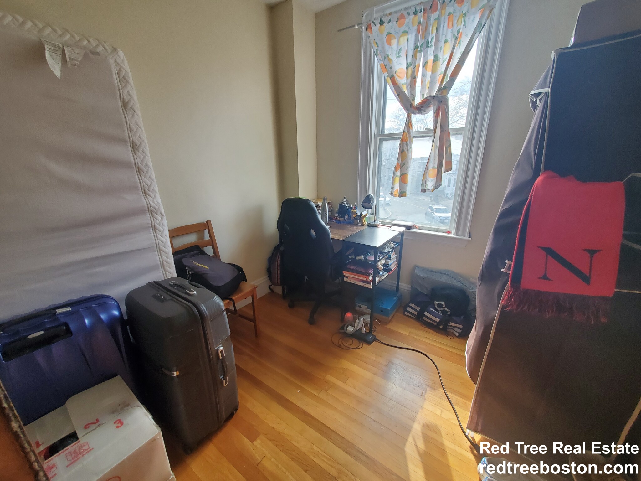 234 Cypress St, Brookline