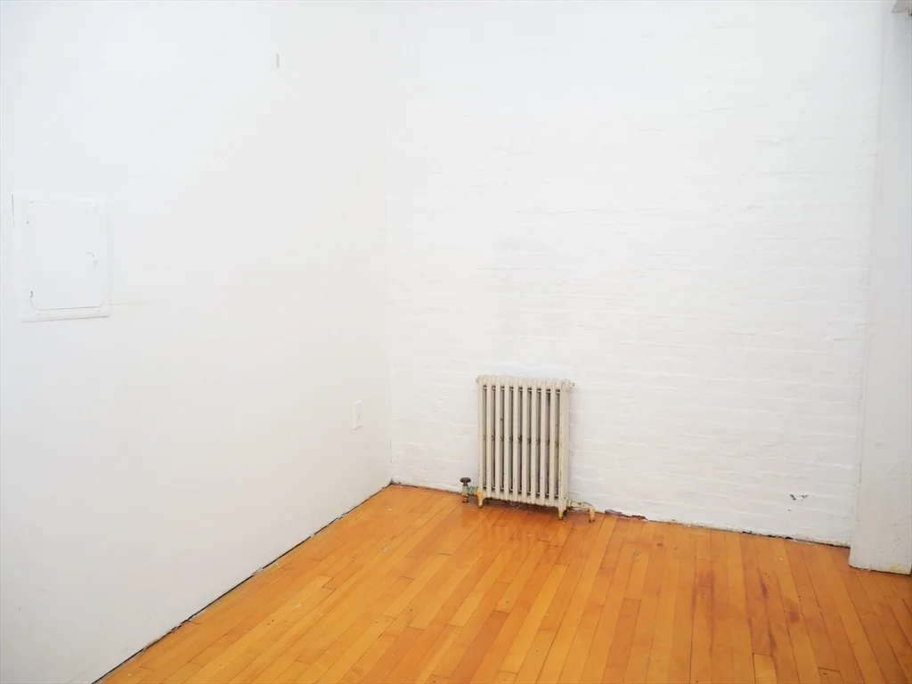 259 W Newton, South End