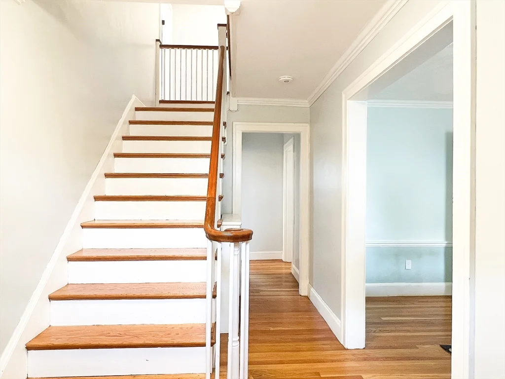 31 Grassmere Rd, Chestnut Hill