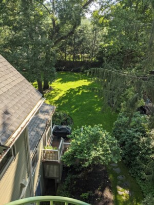 19 A Mountfort Rd, Newton Highlands