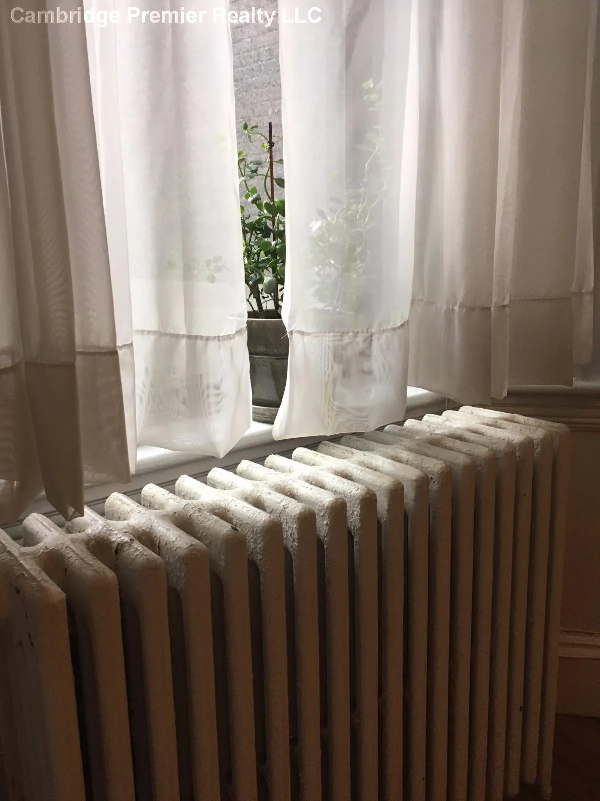 1558 Massachusetts Ave, Neighborhood Nine