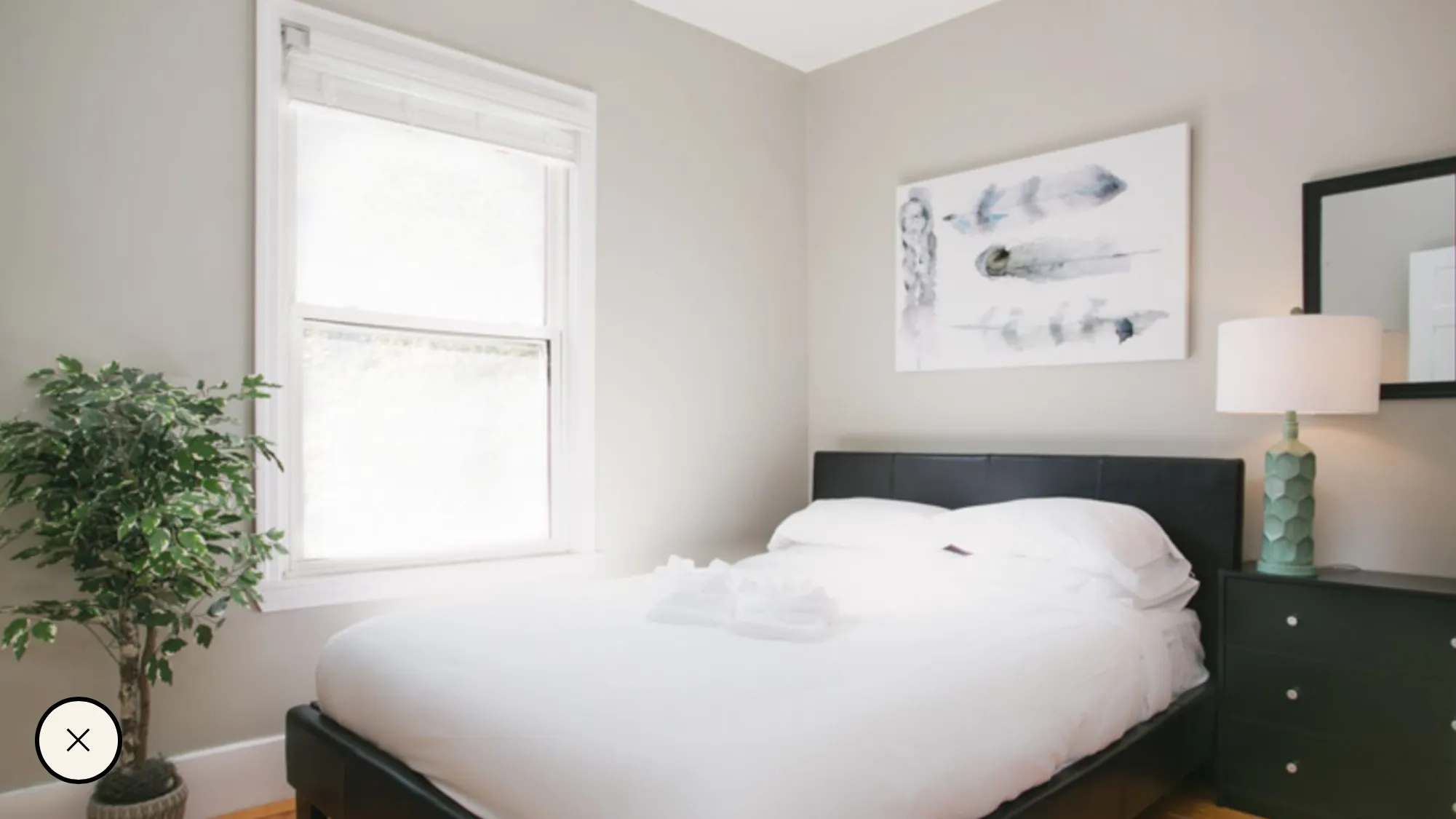 7 Story St, Harvard Square